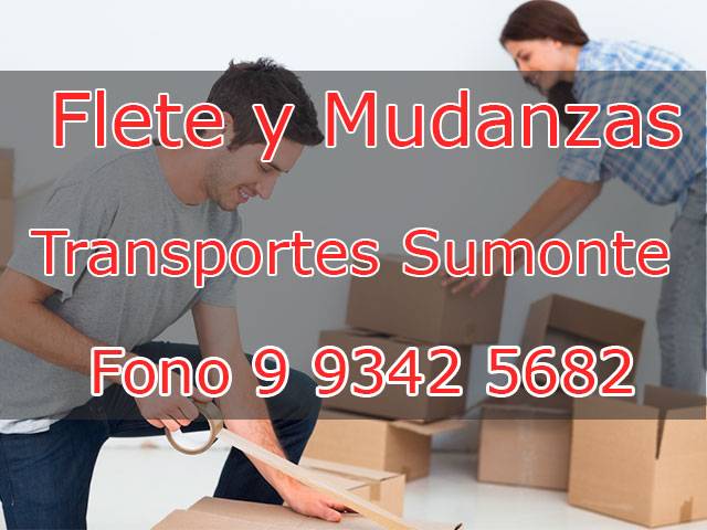 Mudanza.cl TRANSPORTE M&C SUMONTE