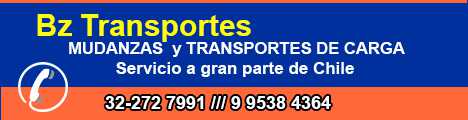 BZ TRANSPORTES
